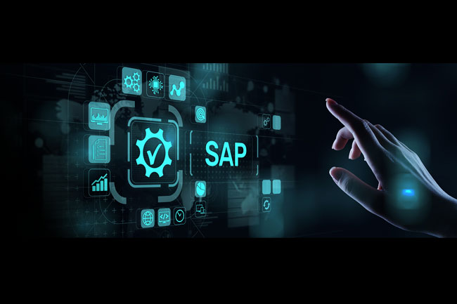 What does an SAP tester do?
