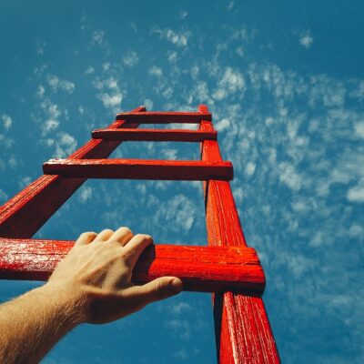 The Peak Performer’s Blueprint: How to Reach Your Potential Every Day