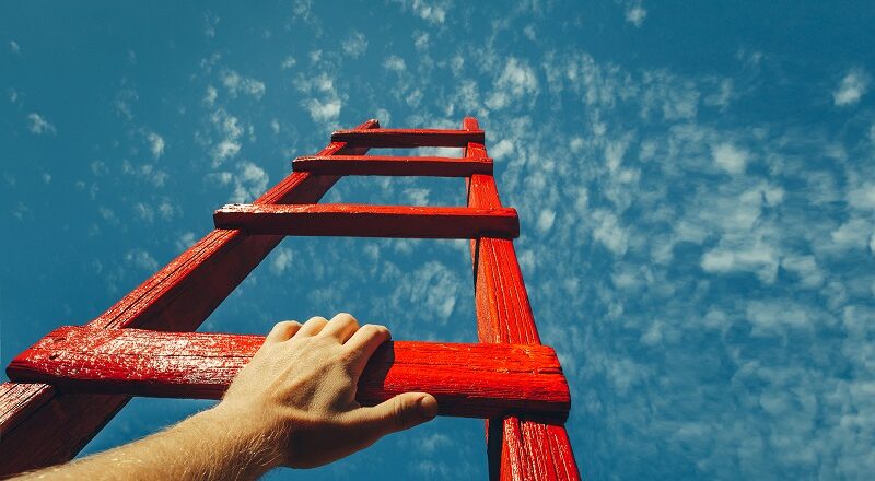 The Peak Performer’s Blueprint: How to Reach Your Potential Every Day